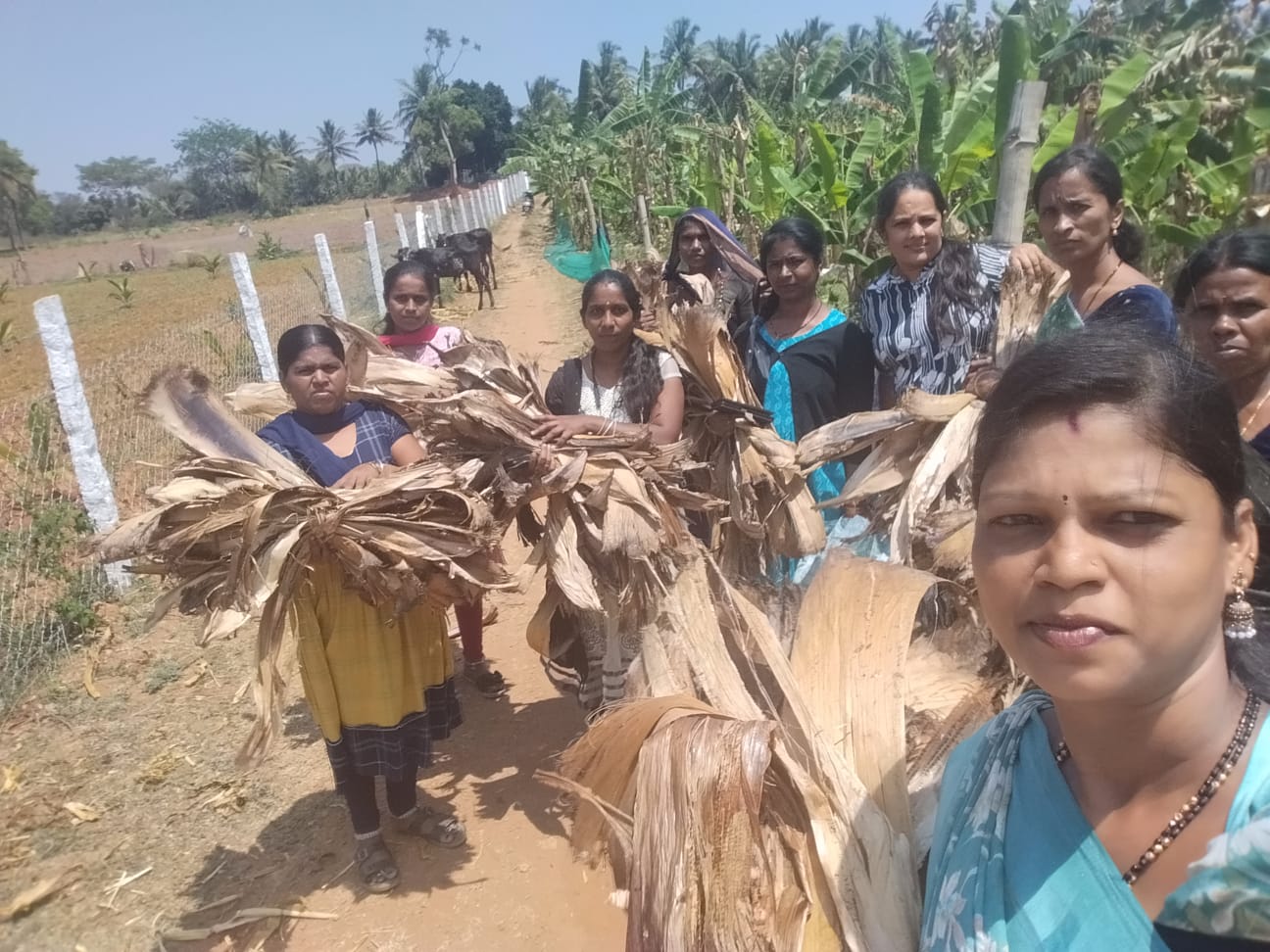 Eco livelihood project